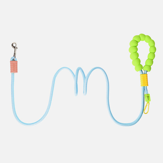 Adjustable Dog Leash with Cloud Foam Handle