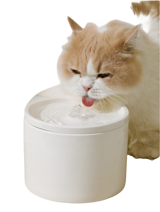 Ceramic Cat Water Fountain with Flowing, Silent, and Circulating Filtration