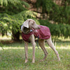 Hooded Reflective Dog Raincoat, Waterproof High-End Apparel for Large Dogs