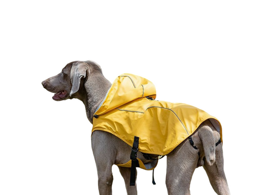 Hooded Reflective Dog Raincoat, Waterproof High-End Apparel for Large Dogs
