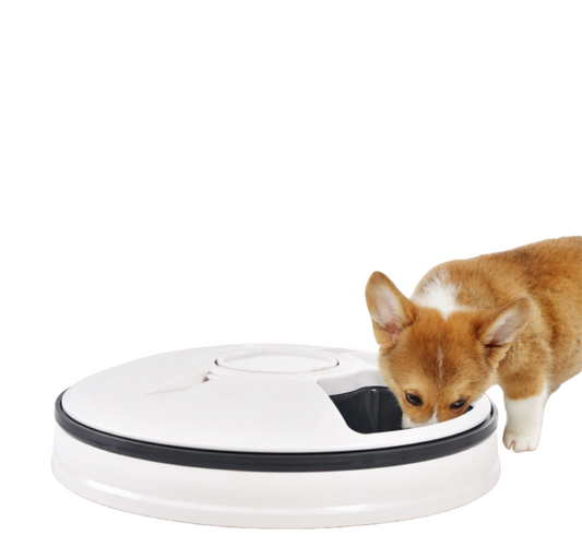 Intelligent Automatic Pet Feeder with Six Compartments for Large Capacity