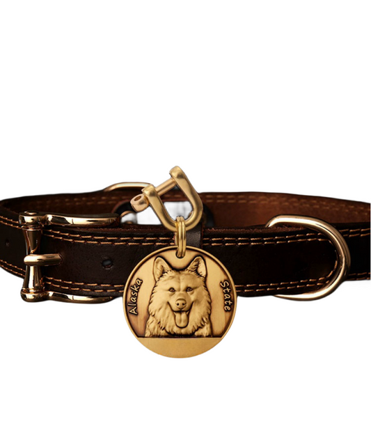 Leather Dog Collar with Custom Engraved Tags for Large and Small Breeds