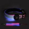 Luminous Fur-ture Collection-Night Guardian for the collar-red-green-blue Gradient