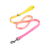 Luminous Fur-ture Collection-Night Trekker for the harness fyi-rainbow color leash
