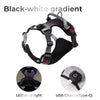 Luminous Fur-ture Collection-Night Trekker for the harness fyi-black-white gradient