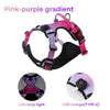 Luminous Fur-ture Collection-Night Trekker for the harness fyi-pink-purple gradient