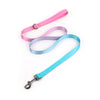 Luminous Fur-ture Collection-Night Trekker for the harness fyi-pink blue gradient