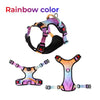 Luminous Fur-ture Collection-Night Trekker for the harness fyi-rainbow color
