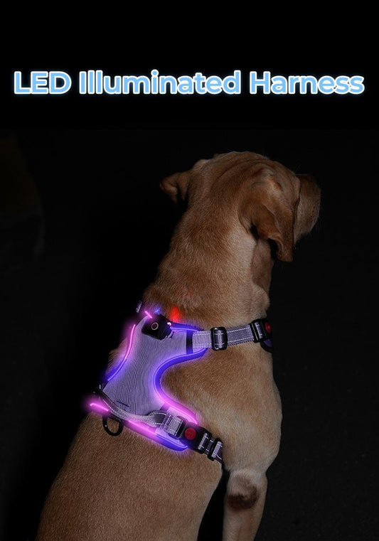 Luminous Fur-ture Collection-Night Trekker for the harness fyi