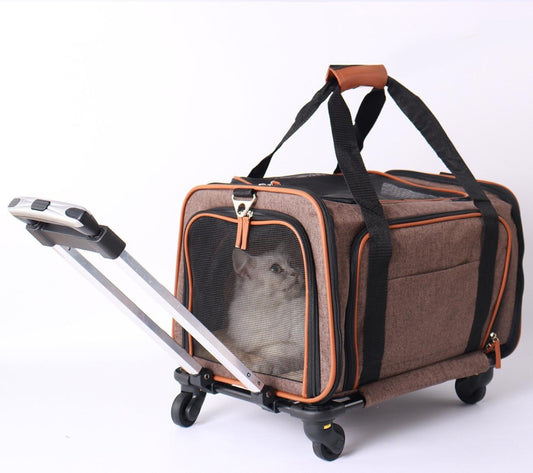 Pet_Rolling_Luggage_Bag_-_Multi-functional_Portable_Carrier_for_Dogs_and_Cats
